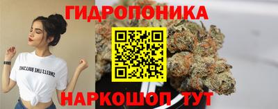 a pvp Славгород