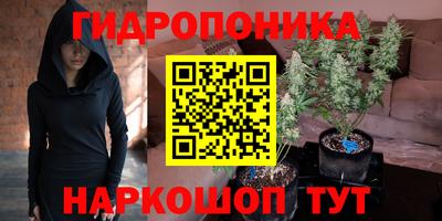 a pvp Славгород