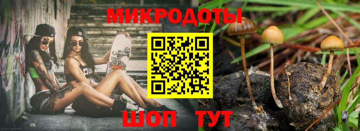 Ухта  Псилоцибиновые грибы мухоморы  Вход с VPN 